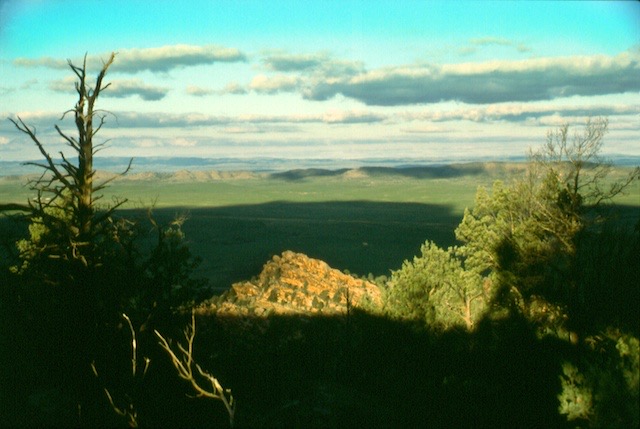 from Wilpena Pound